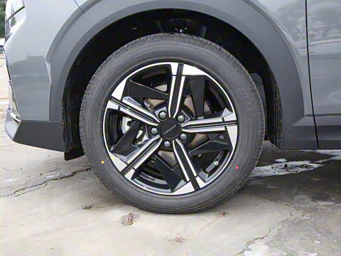 2025�� EM-P 126������Max