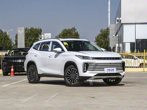 2025�� 300T �������߰�