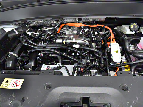 2024�� ���˰� 7��