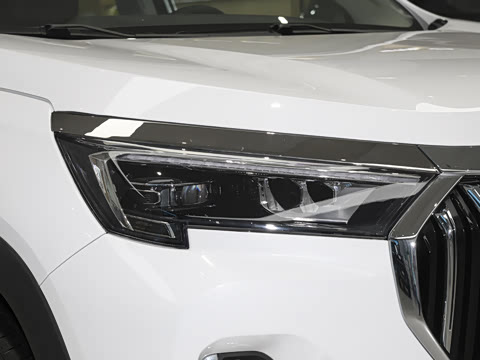 2025�� 1.6TD DCT��Ӣ�� 7��