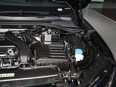 2024�� 300TSI DSG������