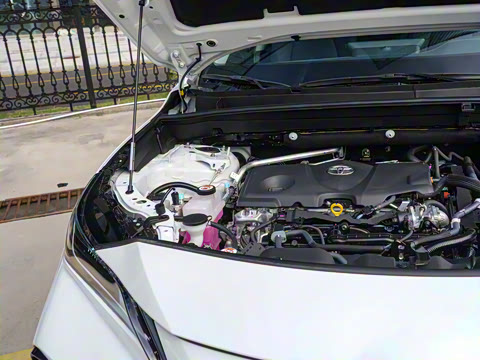 2024�� 2.5L���ܵ��˫�� ����������