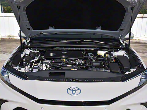 2024�� ˫�� 2.0HS �˶���