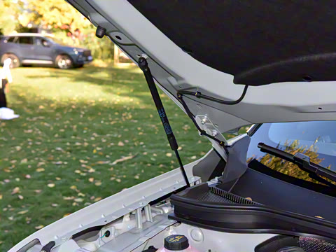 2025�� ������PLUS