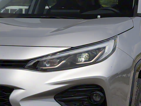 2024�� ˫�� 2.5L E-CVT��������PLUS��