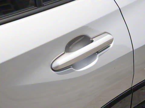 2024�� ˫�� 2.5L E-CVT��������PLUS��