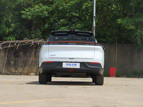 2025�� 205��������������