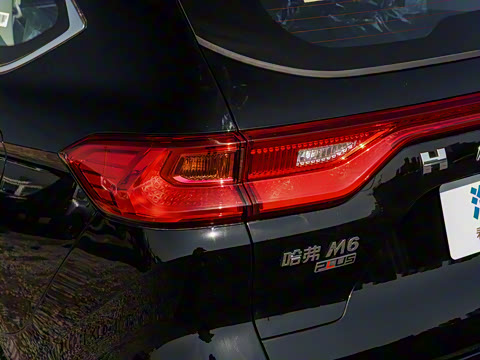 2023�� PLUS 1.5T DCT��Ӣ������