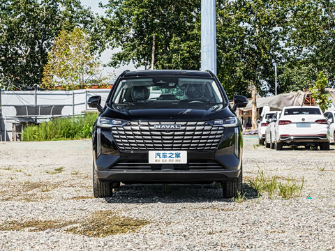 2024�� 2.0T ����Max