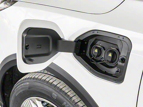 2025�� 445km ���ð�