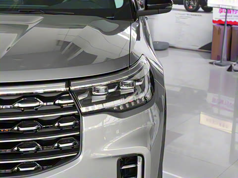 2024�� 2.3T EcoBoost ��������plus�� 6��