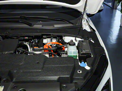 2024�� ������ 150 �캽��