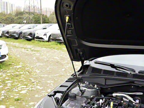 2025�� �ǻ������� 145KM ս����