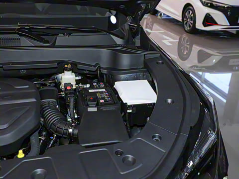 2025�� 1.5T ������