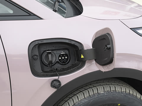 2025�� 420������