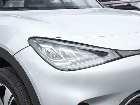 2026�� �鶯��������