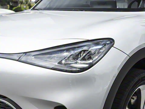 2026�� �鶯��������