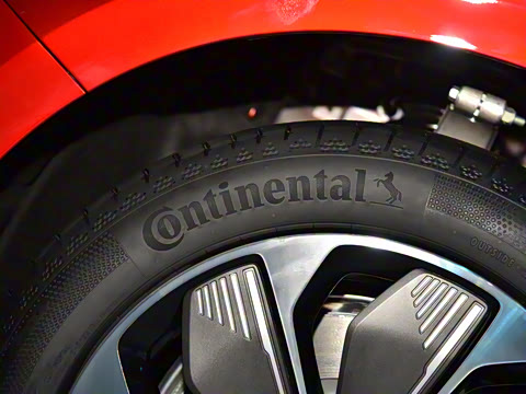 2025�� 550��ѡ��