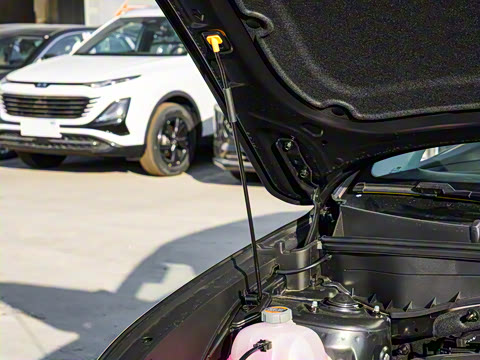 2025�� ;ʤL 1.5T ����