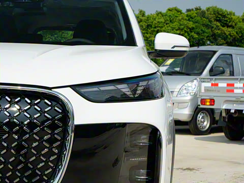 2025�� 290TGDI DCT������ 