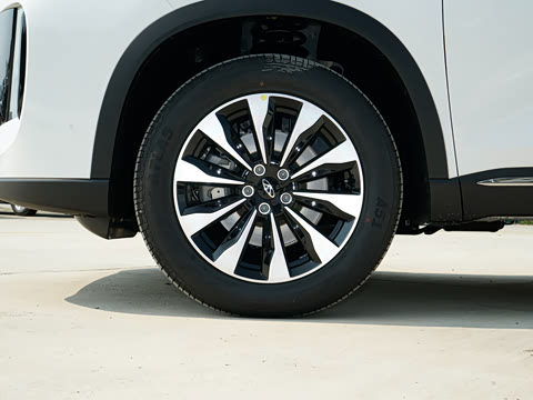 2025�� 290TGDI DCT������ 