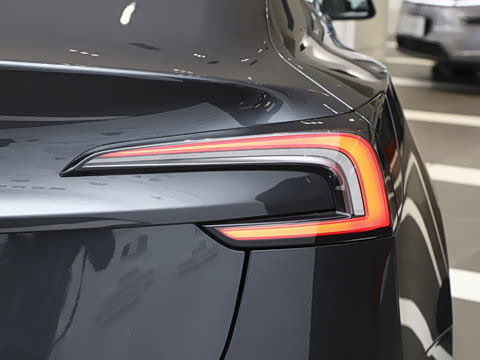 2025�� ����������