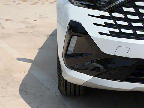 2024�� 280TSI �ֶ��ȷ��