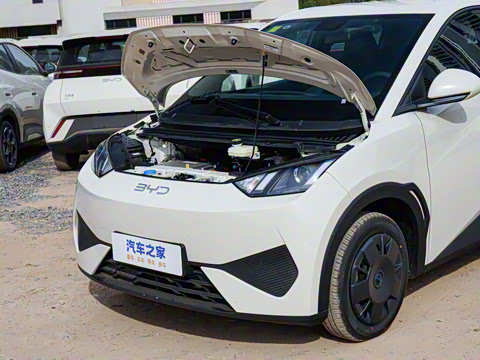 2025�� �Ǽݰ� 305km ������