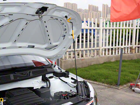 2025�� 1.5L �Զ�������