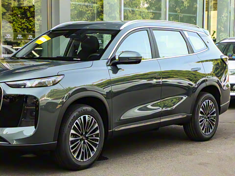 2025�� 1.5T 116km ������ 7��