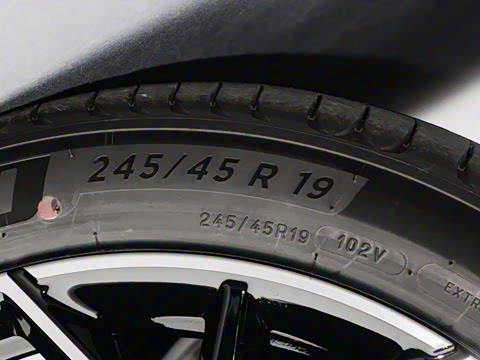 2025�� ���� ����� 230 �콢��