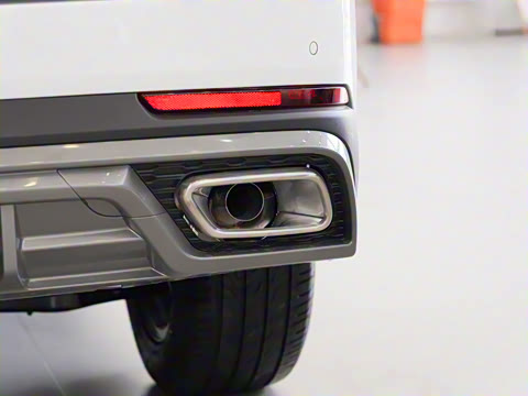 2025�� 290T ����������