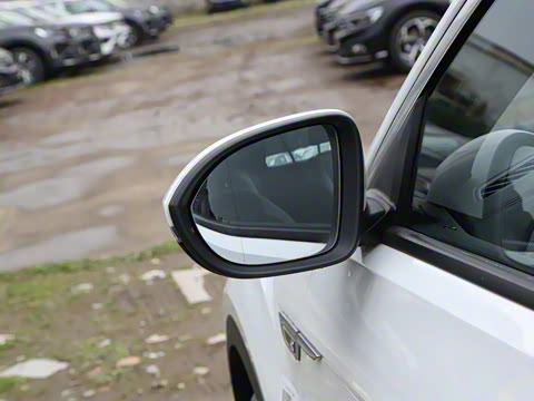 2025�� 300TSI DSG���������