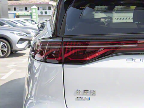 2025�� �Ǽݰ� DM-i 115KM �콢��