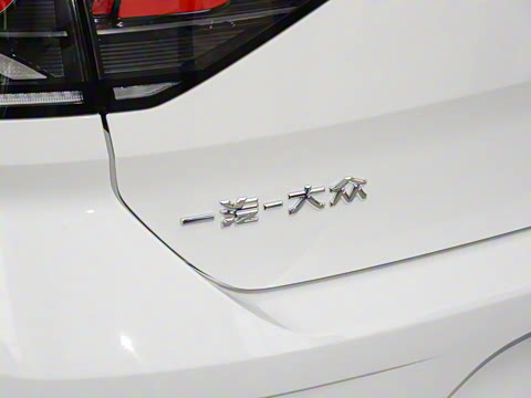 2025�� �Ŀ�� 300TSI DSG���������