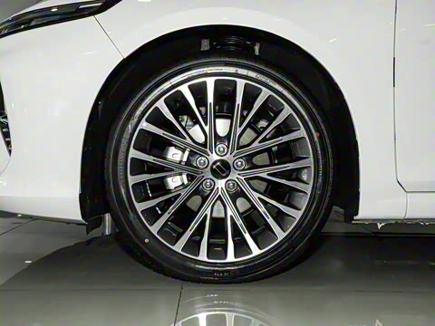 2024�� ���Ĵ� 2.0T �캽��