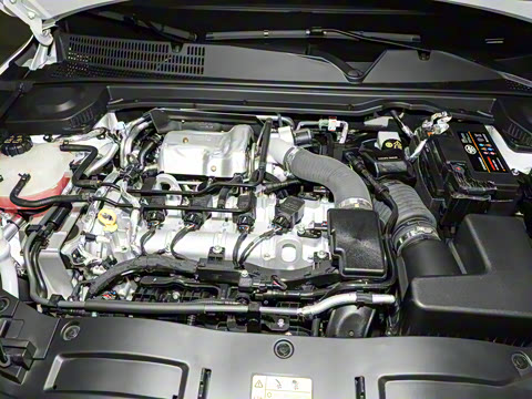 2024�� ���Ĵ� 2.0T �캽��