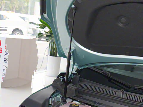 2024�� ���� ���������� ������