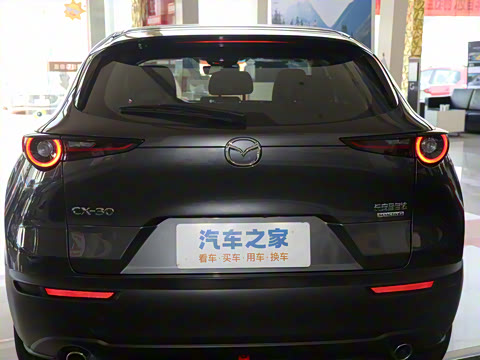 2024�� 2.0L �Զ�������