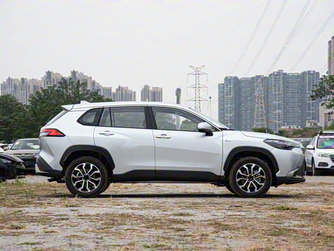 2024�� 2.0L ���ܵ��˫�� ������