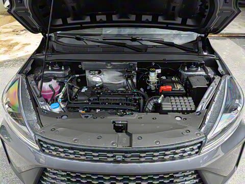 2025�� 1.5L �ֶ����ʰ�