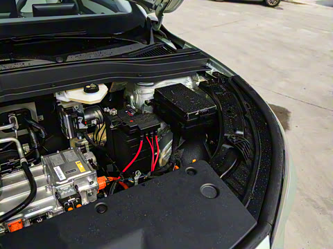 2025�� 445km ���ð�