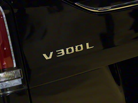 2025�� SPV��