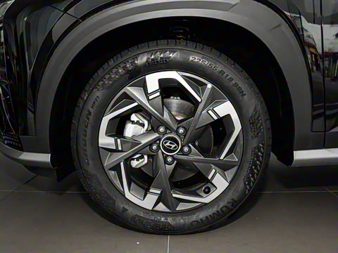 2023�� ��� 2.0L ����LUX