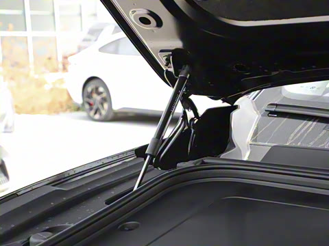 2025�� 636Max���Ȱ� 5��