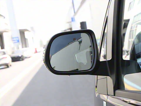 2025�� PLUS 2.0L ��Ӣ��