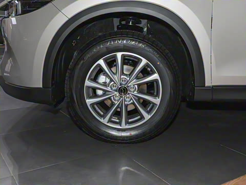 2024�� 2.0L �Զ�����������