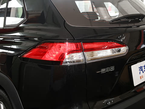 2024�� 2.0L ���ܵ��˫�� �ȷ��