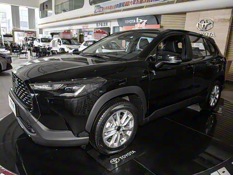 2024�� 2.0L ���ܵ��˫�� �ȷ��