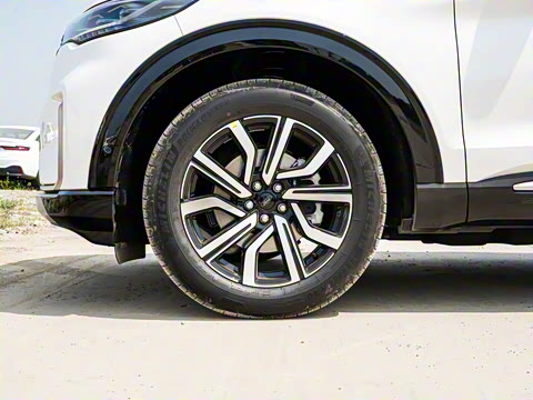 2023��  EcoBoost 285 �������� 6��